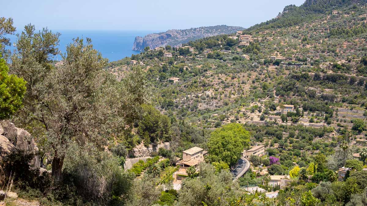 Finka w Deia, Mallorca, Hiszpania 6 sypialni, 305 mkw. nr 73166