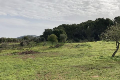 Tomt i Santanyi, Mallorca, Spanien 350 kvm. Nr. 147875
