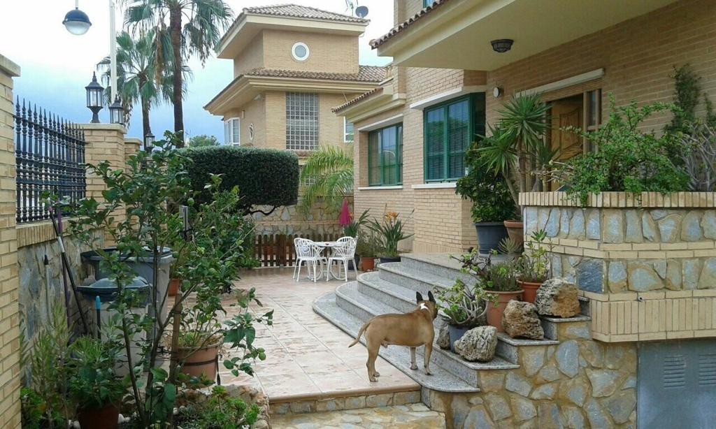 Villa en Benidorm, Alicante, España 480 m2 No. 165487