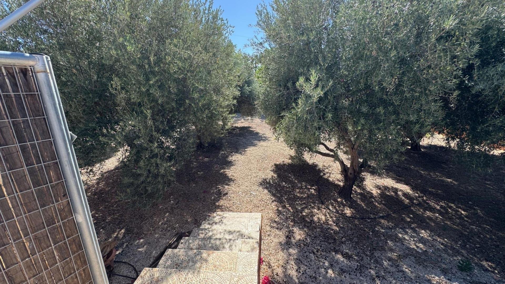 Finca a Albatera, Alicante, Spagna 6 camere da letto, 226 mq. N° 189381