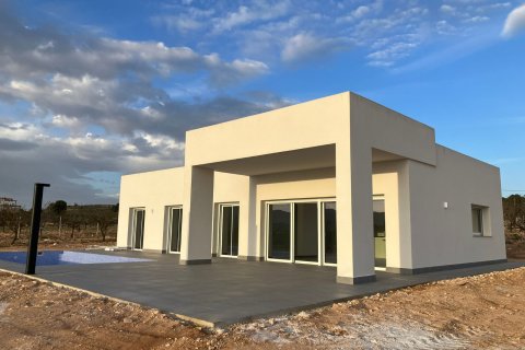 Huvila Pinoso, Alicante, Espanja 3 makuuhuonetta, 146 m2 No. 149752