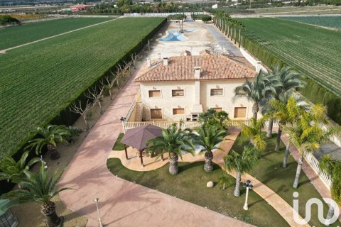 Hus i Aspe, Alicante, Spanien 5 sovrum, 583 kvm. Nr. 153123