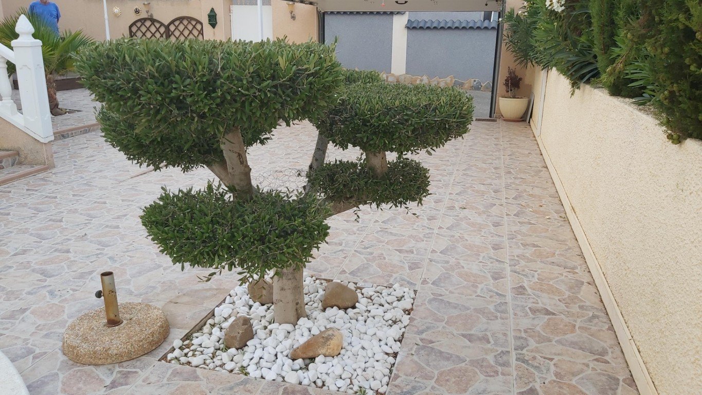 Villa i Benijofar, Alicante, Spanien 2 sovrum, 118 kvm. Nr. 137920