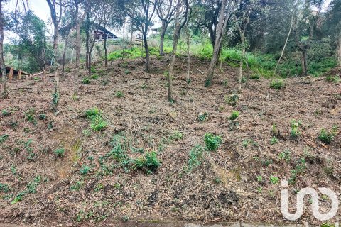 Land in Vallgorguina, Barcelona, Spanien 852 m2 Nr. 185932