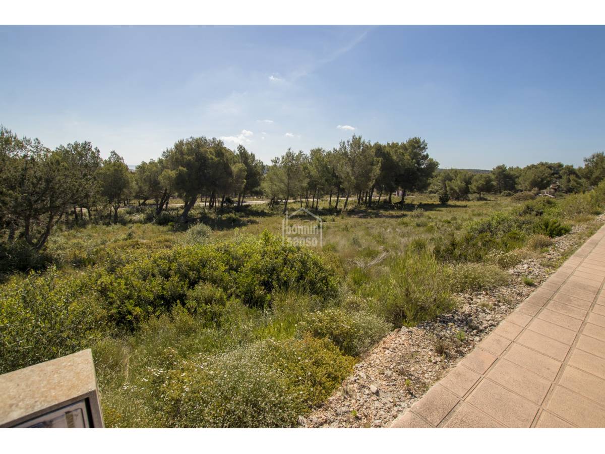 Land plot in Es Mercadal, Menorca, Spain No. 65495