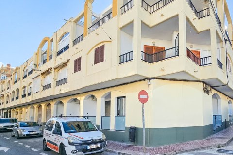 Apartment à Torrevieja, Alicante, Espagne 1 chambre,  No. 195479