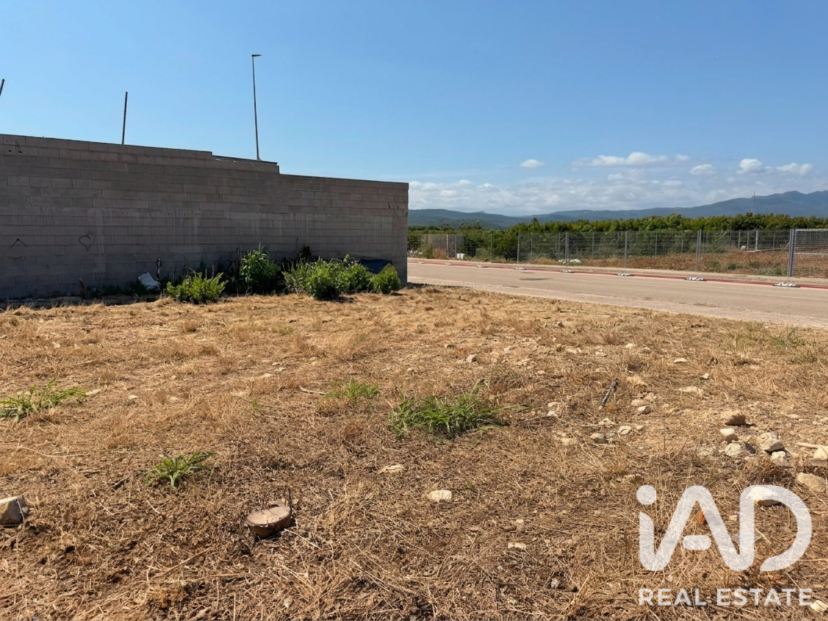 Land plot in Daimus, Valencia, Spain 1174 sq.m. No. 188007