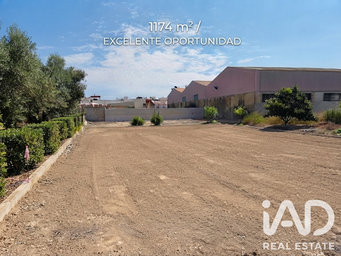 Land plot in Daimus, Valencia, Spain 1174 sq.m. No. 188007