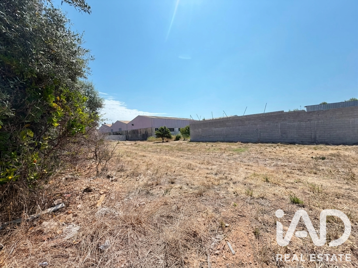 Land plot in Daimus, Valencia, Spain 1174 sq.m. No. 188007
