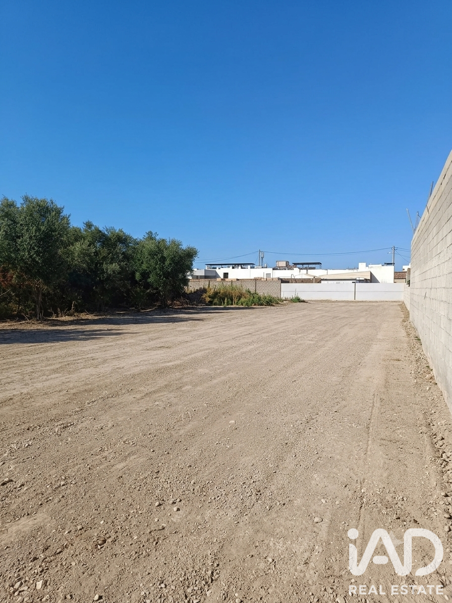 Land plot in Daimus, Valencia, Spain 1174 sq.m. No. 188007