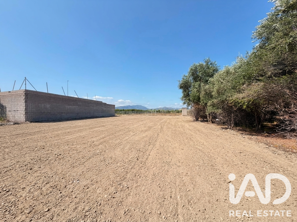 Land plot in Daimus, Valencia, Spain 1174 sq.m. No. 188007