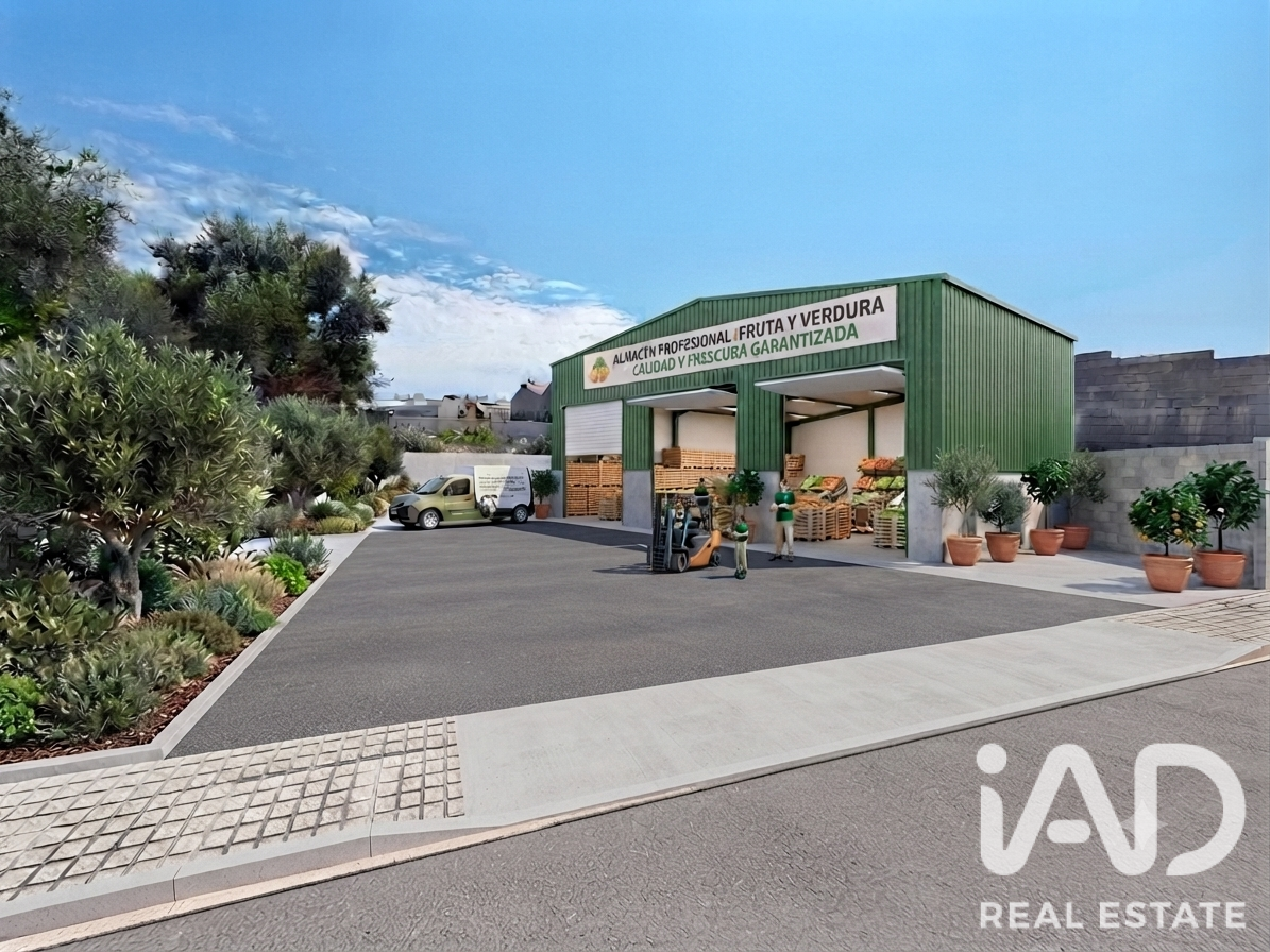 Land plot in Daimus, Valencia, Spain 1174 sq.m. No. 188007