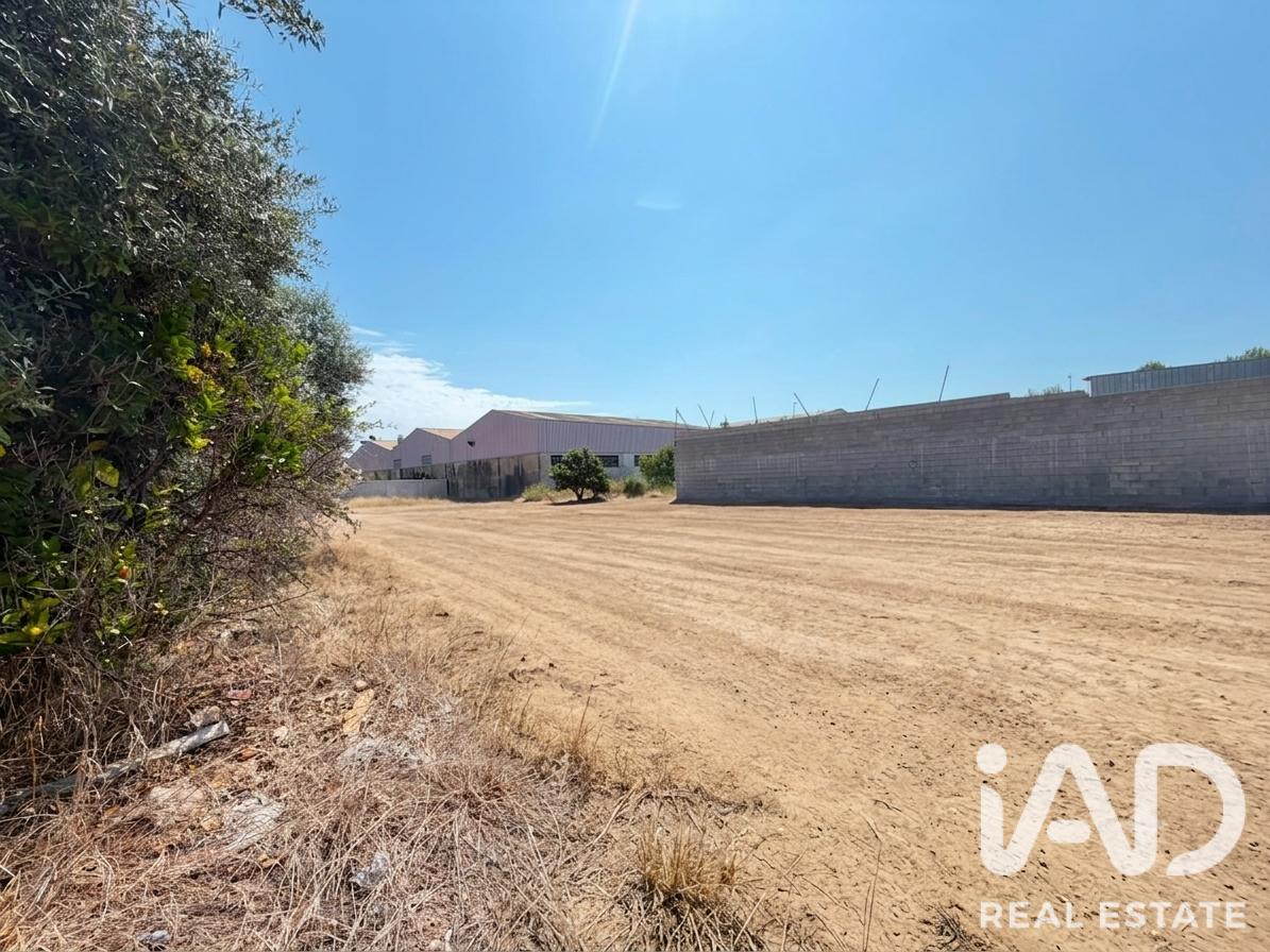 Land plot in Daimus, Valencia, Spain 1174 sq.m. No. 188007
