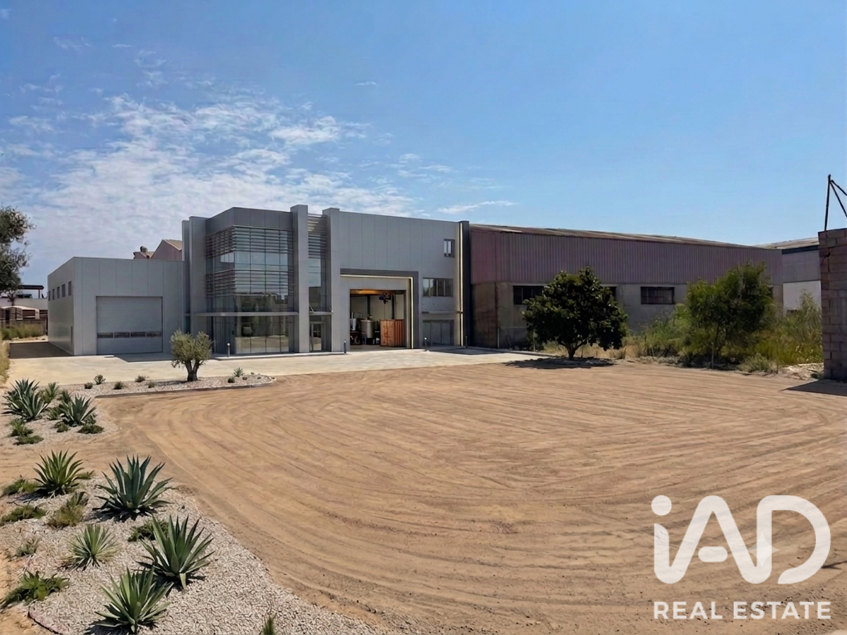 Land plot in Daimus, Valencia, Spain 1174 sq.m. No. 188007