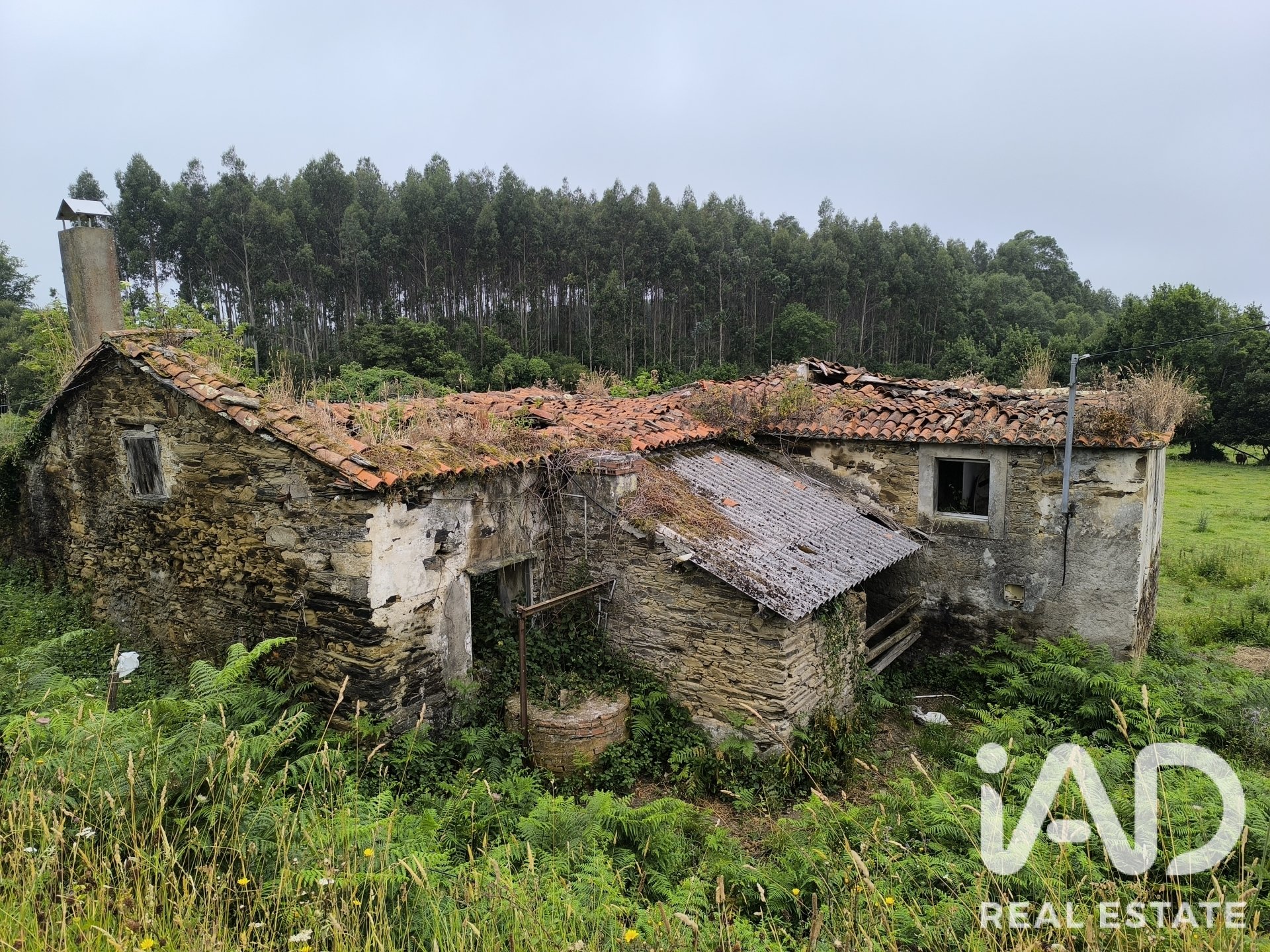 House à Valdovino, A Coruna, Espagne 246 m2 No. 188005