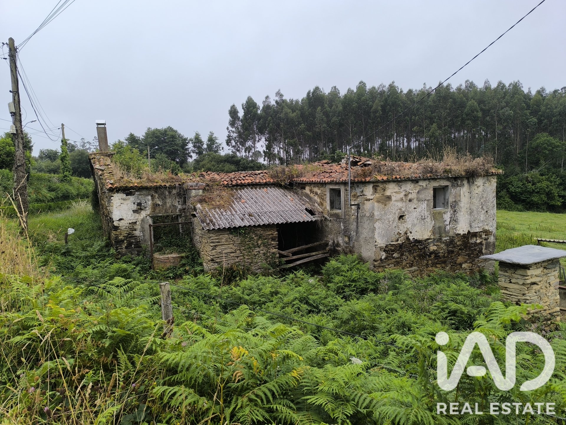 House à Valdovino, A Coruna, Espagne 246 m2 No. 188005