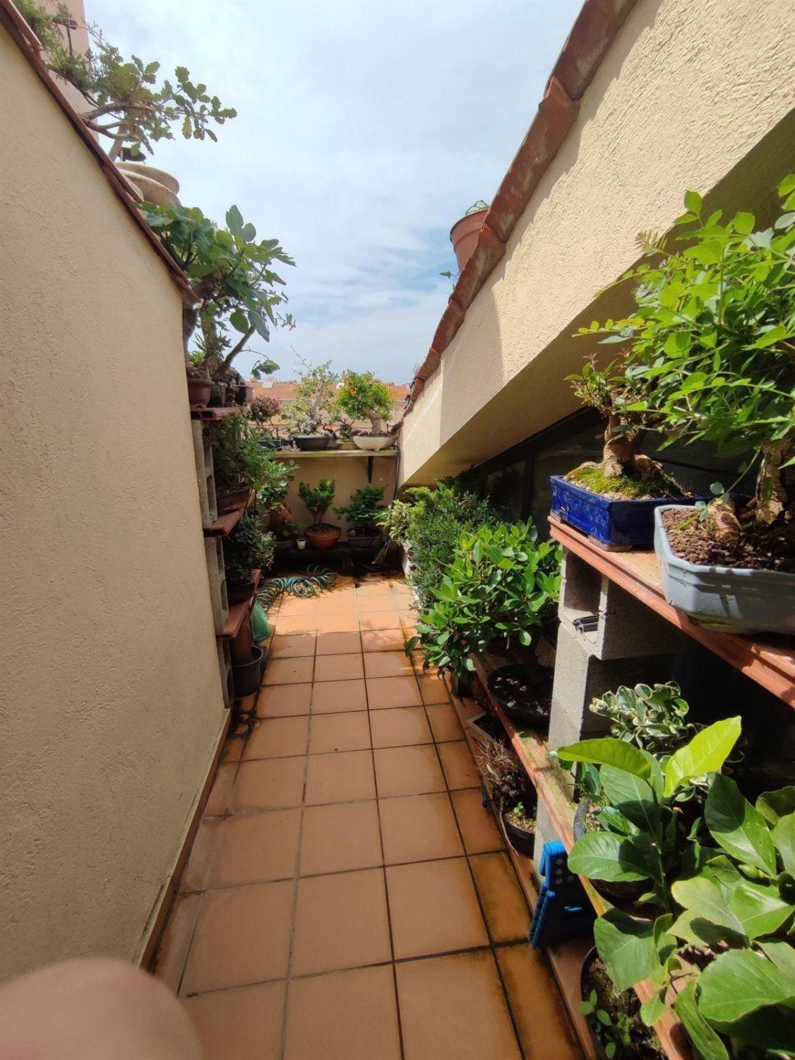 Wohnung in Palamos, Girona, Spanien 3 Schlafzimmer,  Nr. 140935