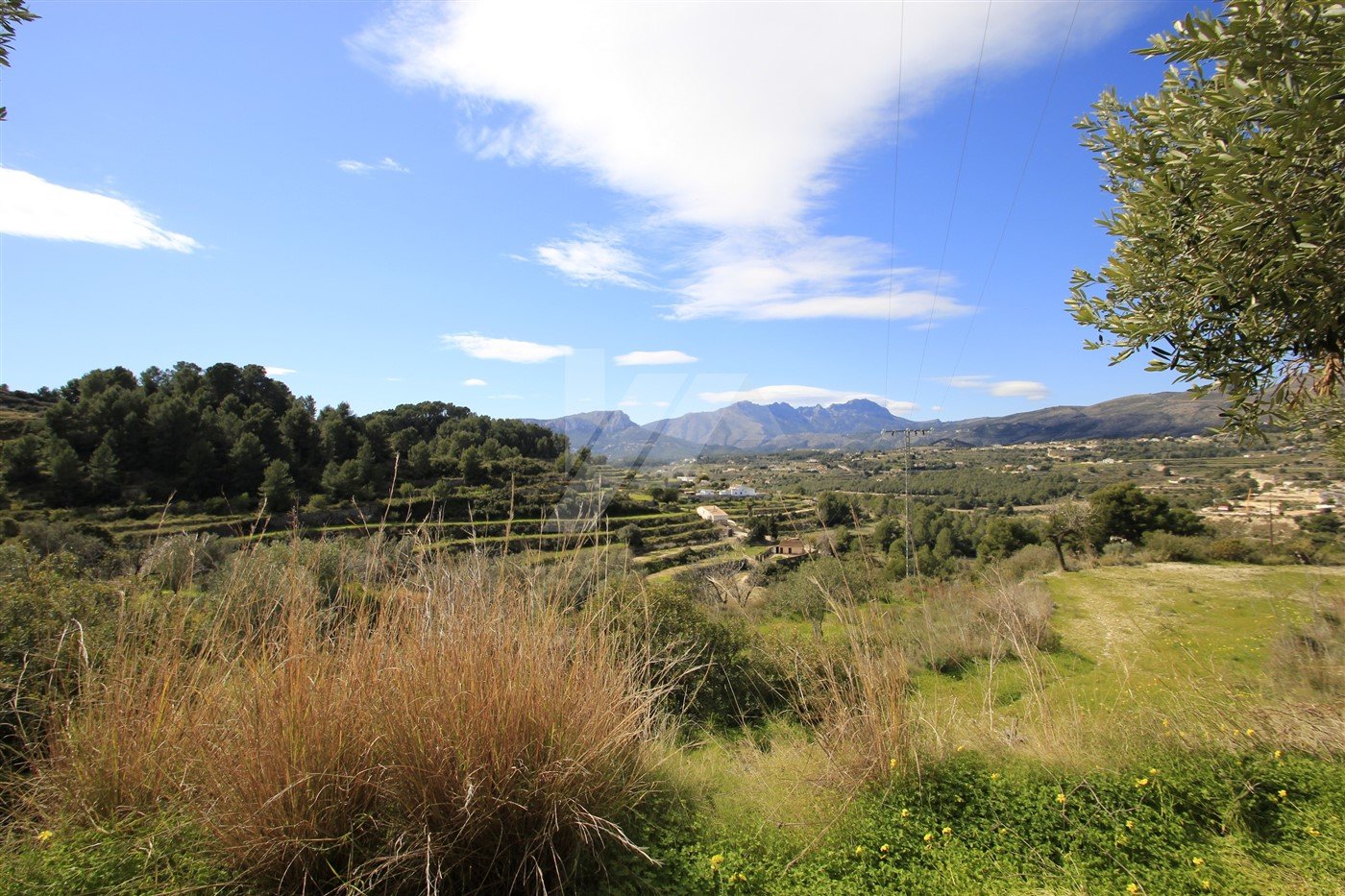 Land in Benissa, Alicante, Spanien Nr. 64563