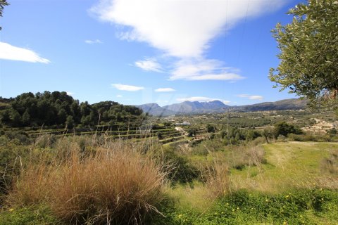Land in Benissa, Alicante, Spanien Nr. 64563