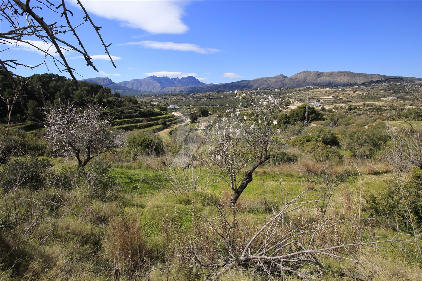 Land in Benissa, Alicante, Spanien Nr. 64563