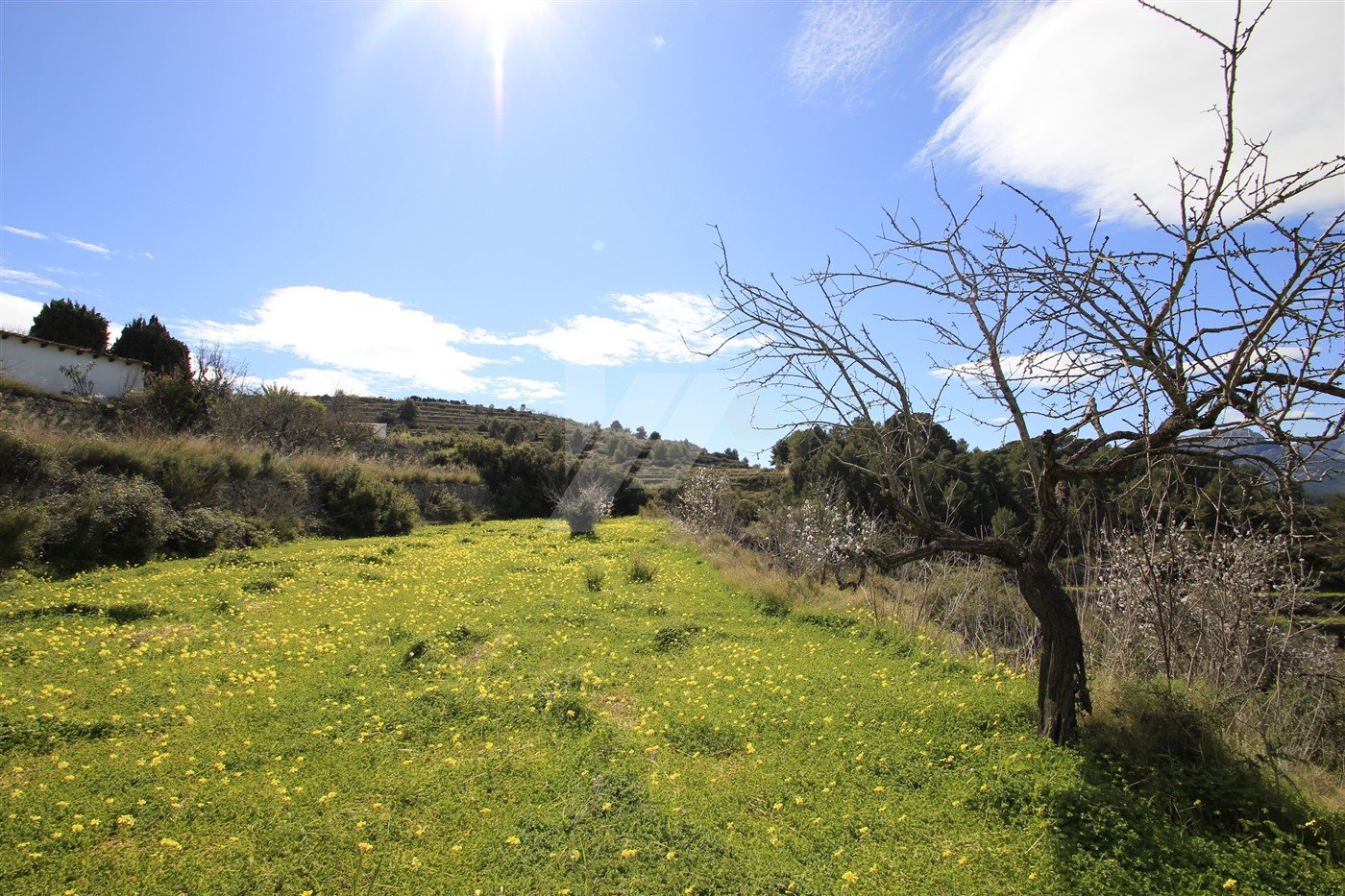 Land in Benissa, Alicante, Spanien Nr. 64563