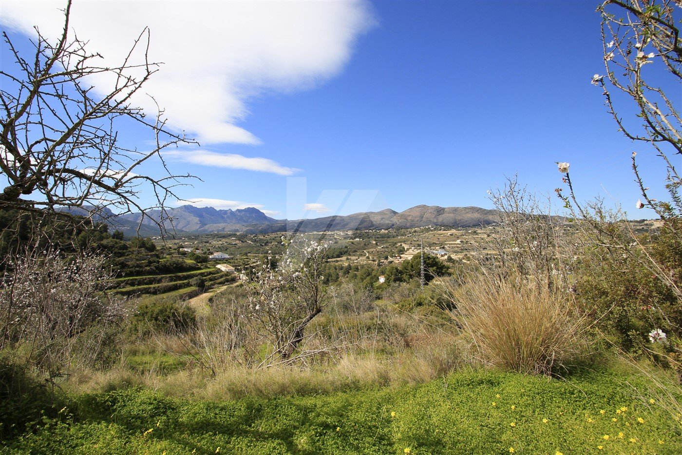 Land in Benissa, Alicante, Spanien Nr. 64563