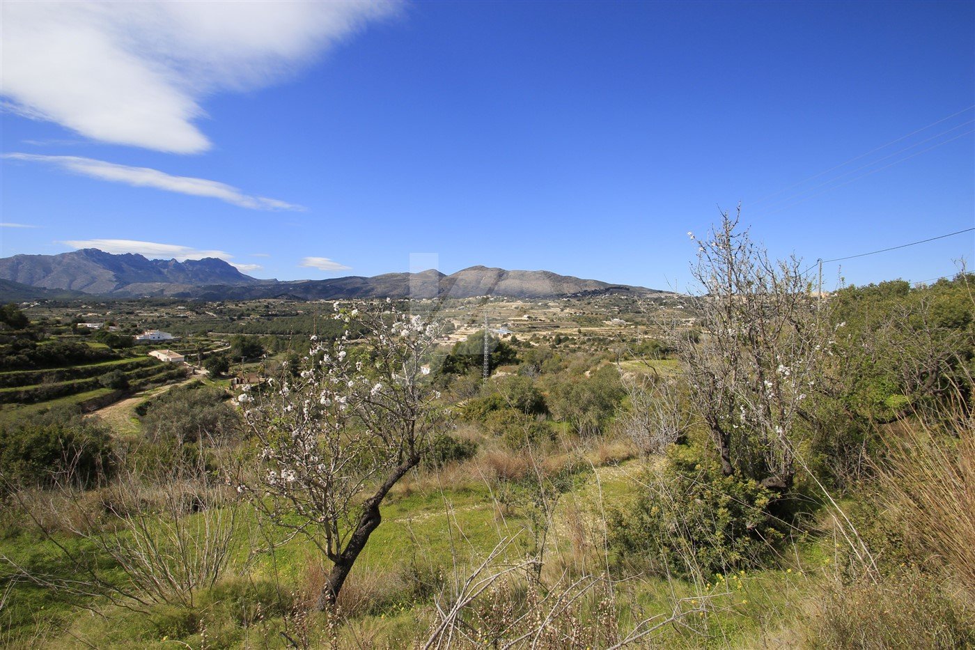 Land in Benissa, Alicante, Spanien Nr. 64563