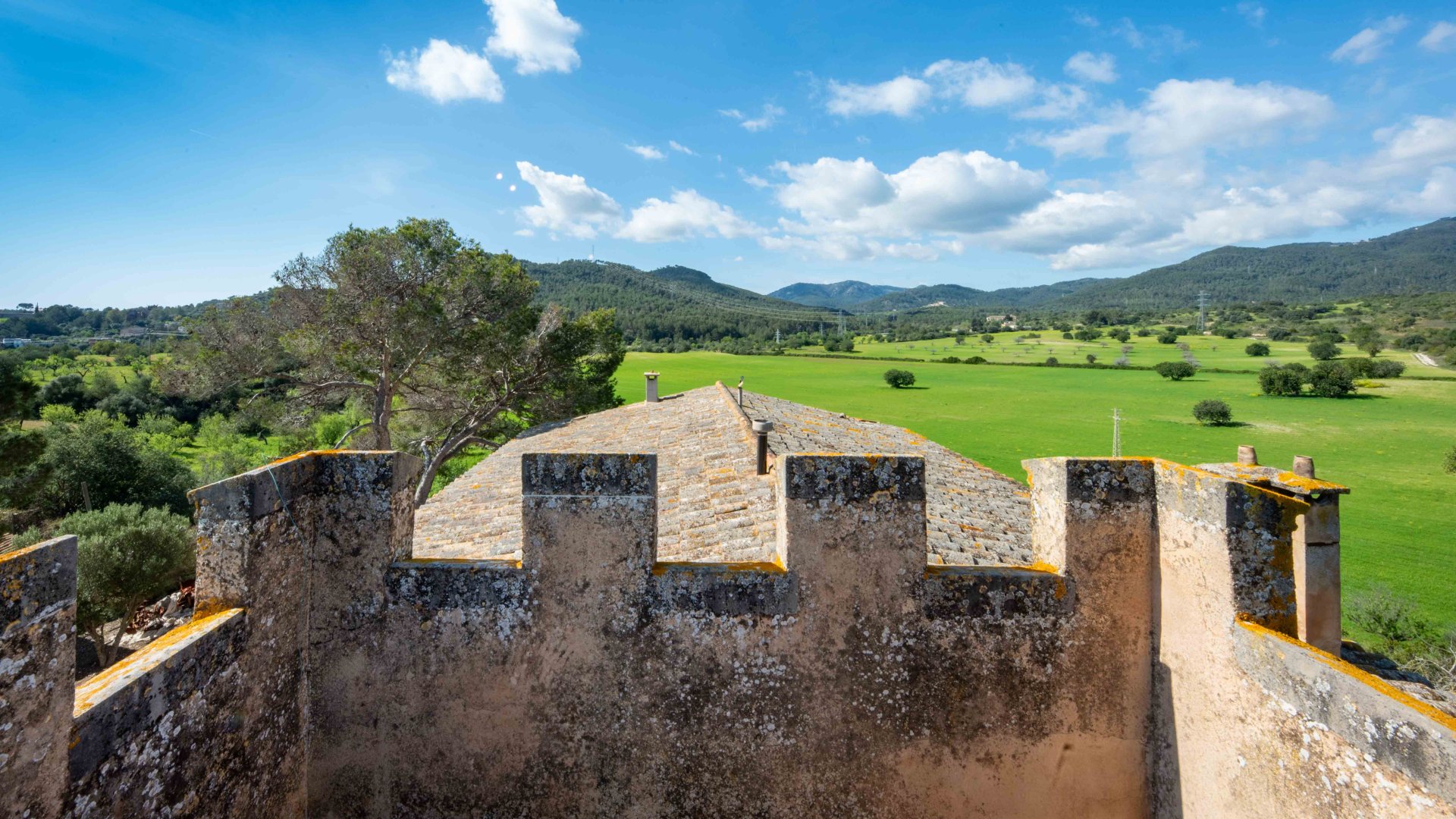 Finca in Establiments, Mallorca, Spain 6 bedrooms, 1065 sq.m. No. 160930