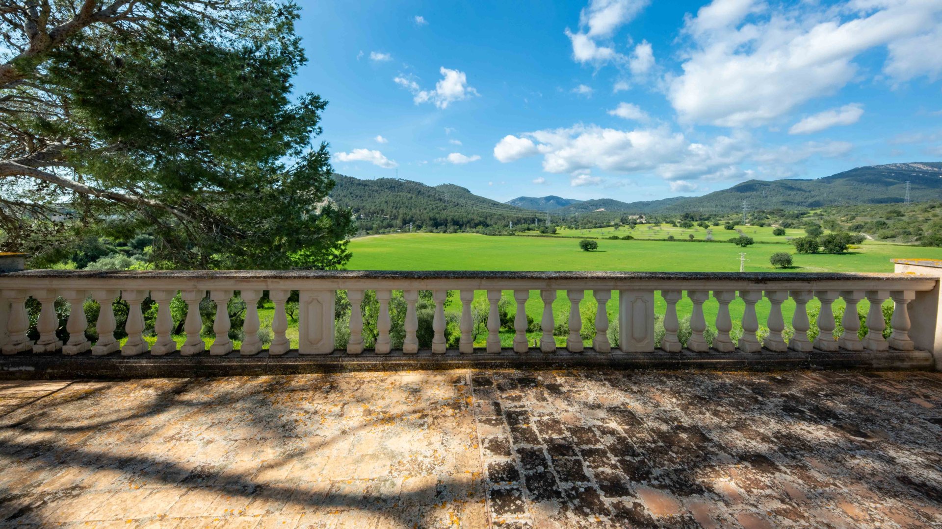 Finca in Establiments, Mallorca, Spain 6 bedrooms, 1065 sq.m. No. 160930