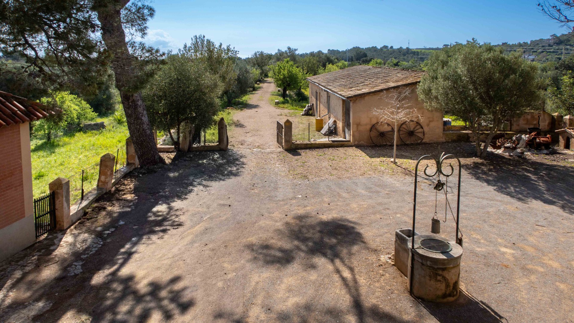 Finca in Establiments, Mallorca, Spain 6 bedrooms, 1065 sq.m. No. 160930