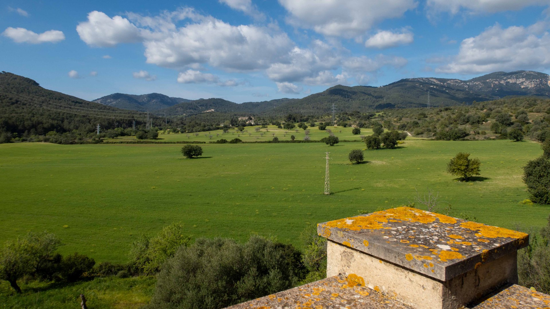 Finca in Establiments, Mallorca, Spain 6 bedrooms, 1065 sq.m. No. 160930