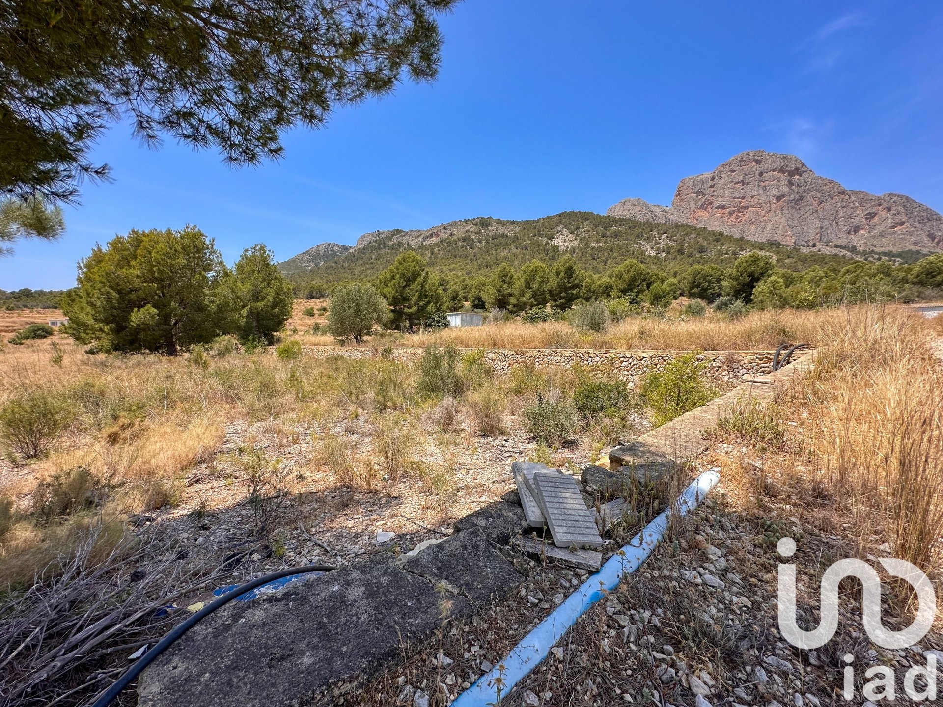 Tontti Polop, Alicante, Espanja 38000 m2 No. 153358