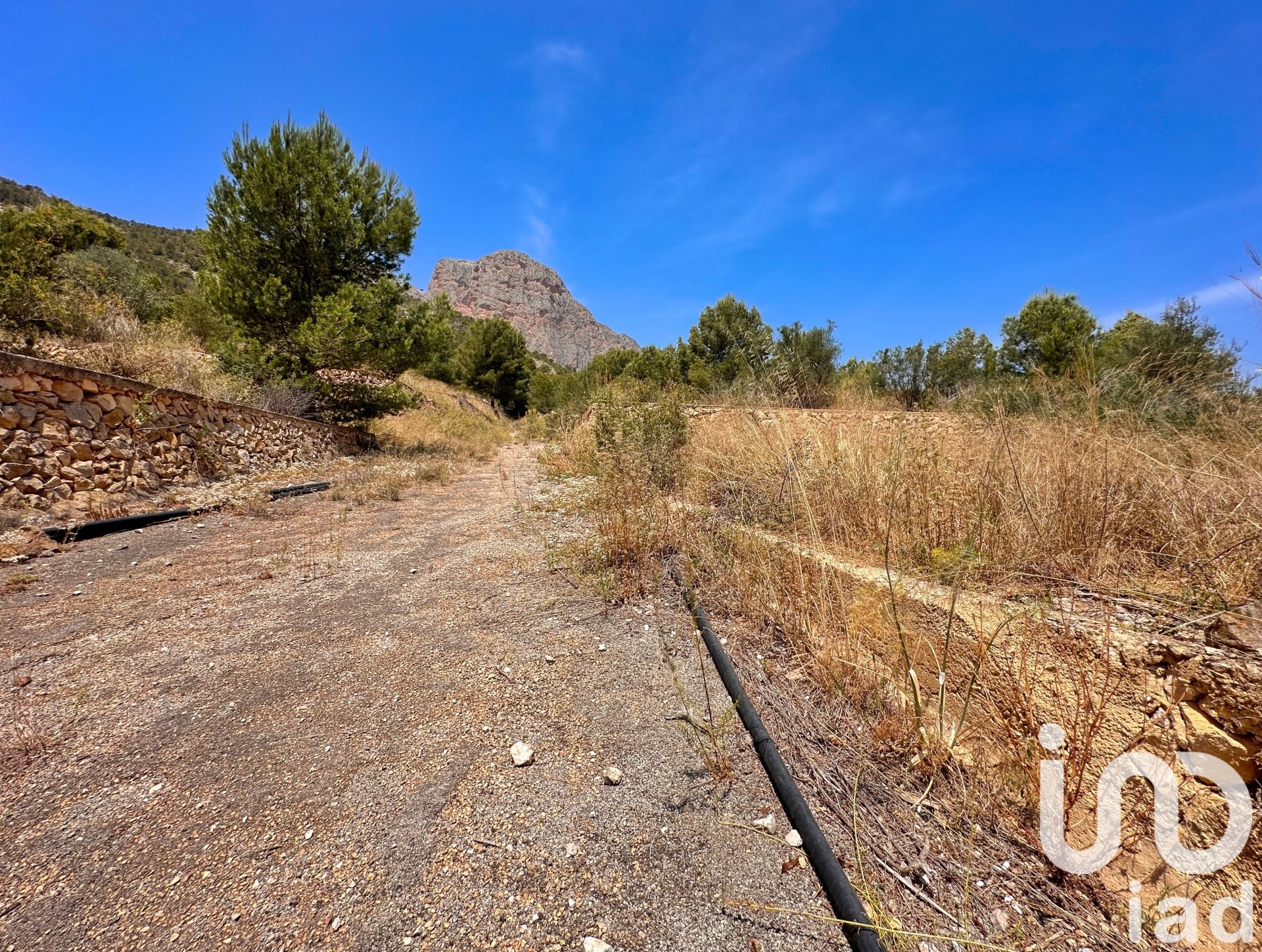 Tontti Polop, Alicante, Espanja 38000 m2 No. 153358