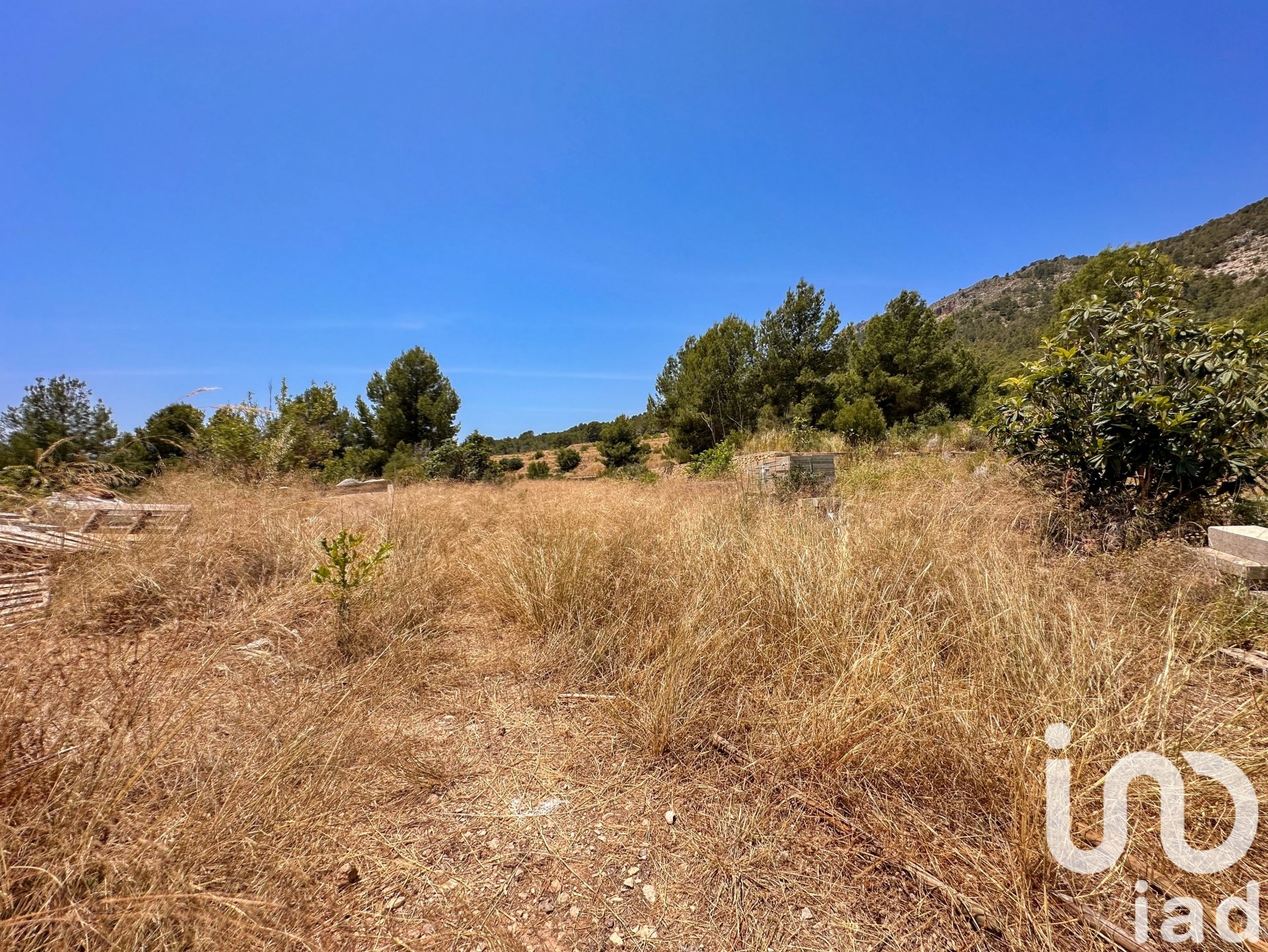 Tontti Polop, Alicante, Espanja 38000 m2 No. 153358