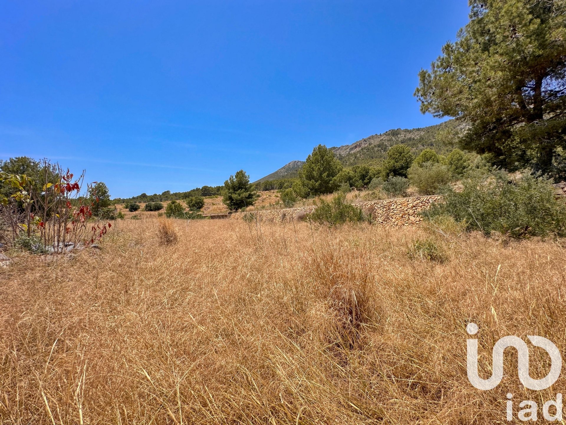 Tontti Polop, Alicante, Espanja 38000 m2 No. 153358