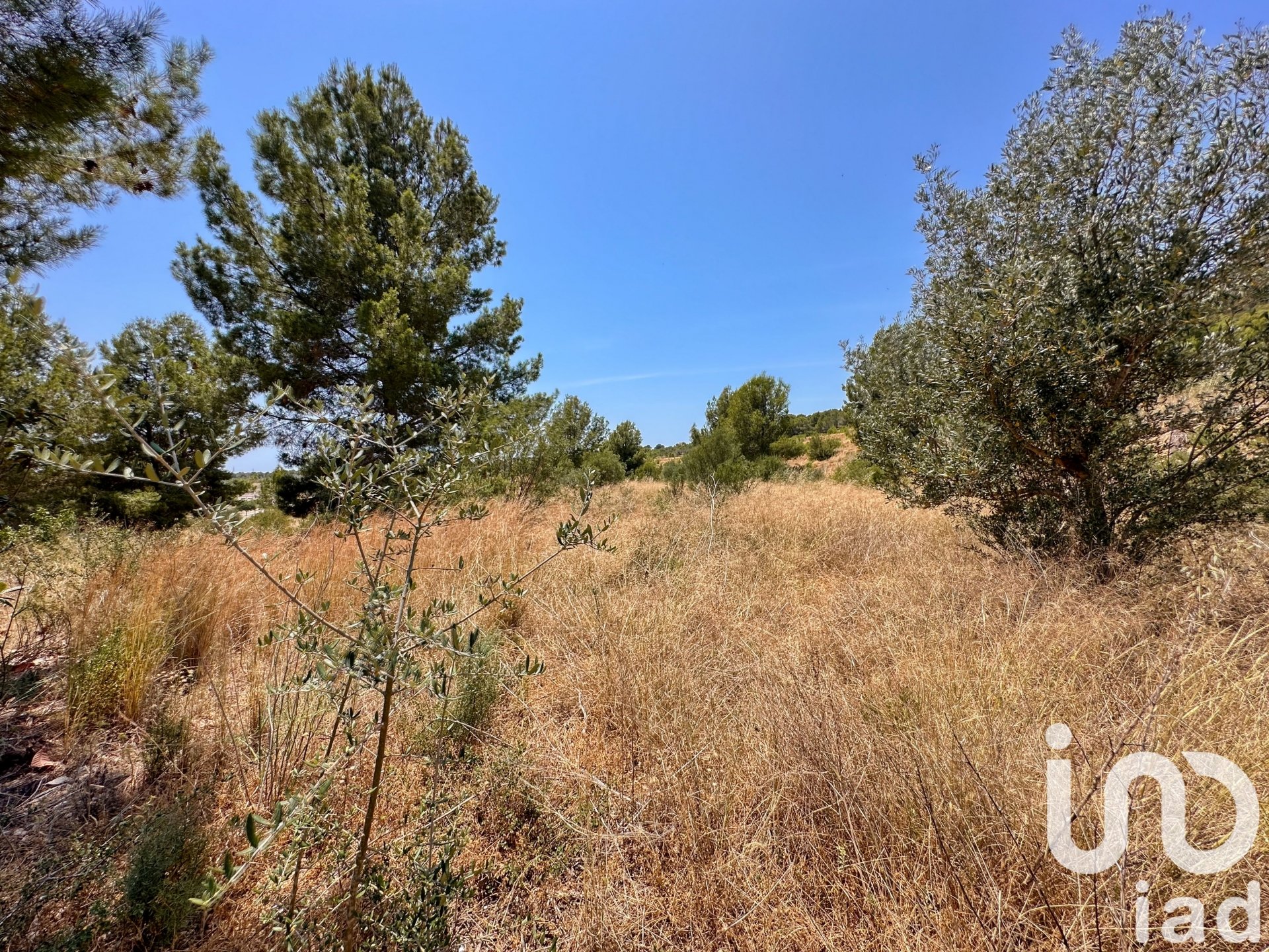 Tontti Polop, Alicante, Espanja 38000 m2 No. 153358