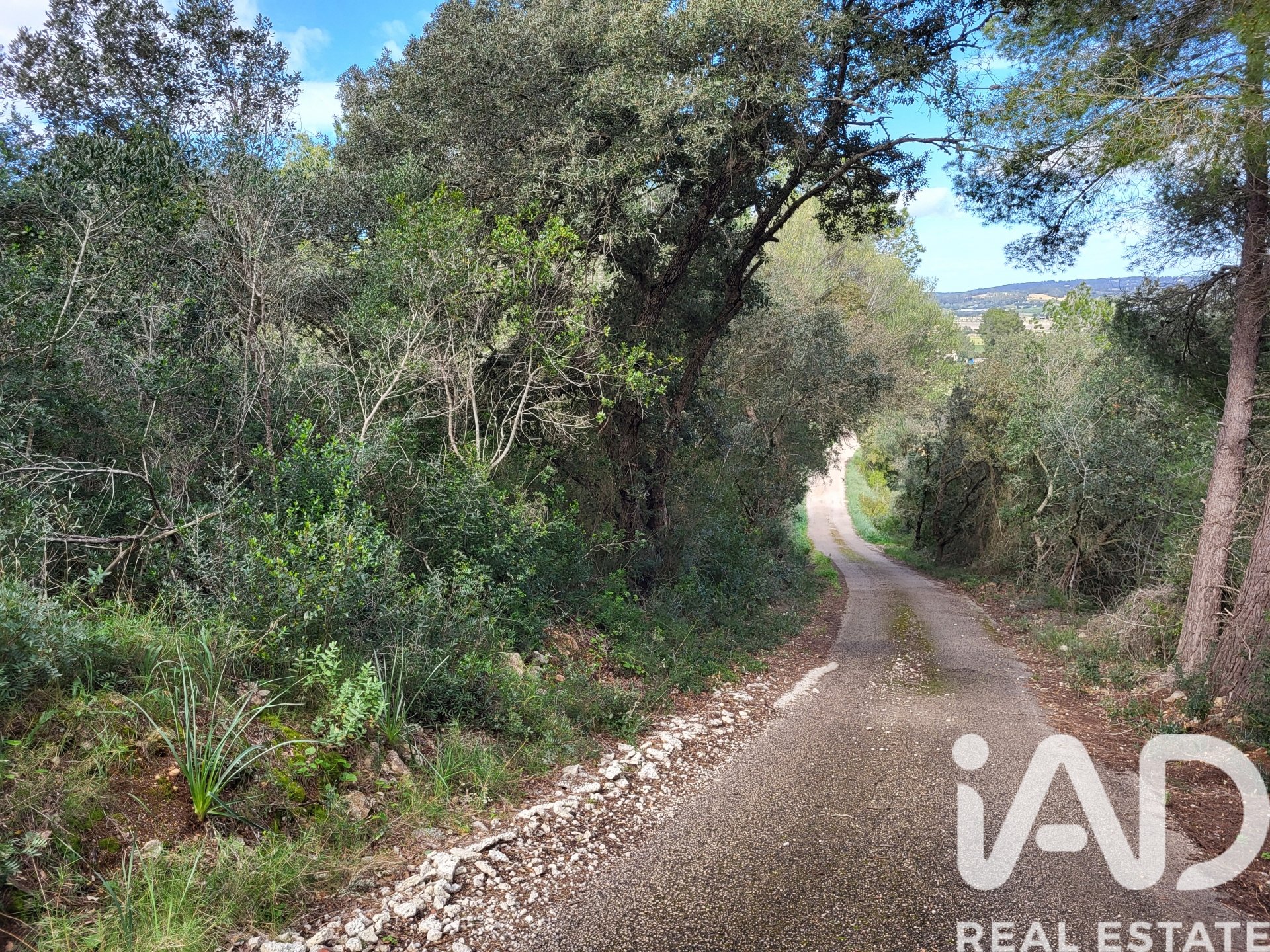 Parcela en Sant Joan, Mallorca, España 11259 m2 No. 185233