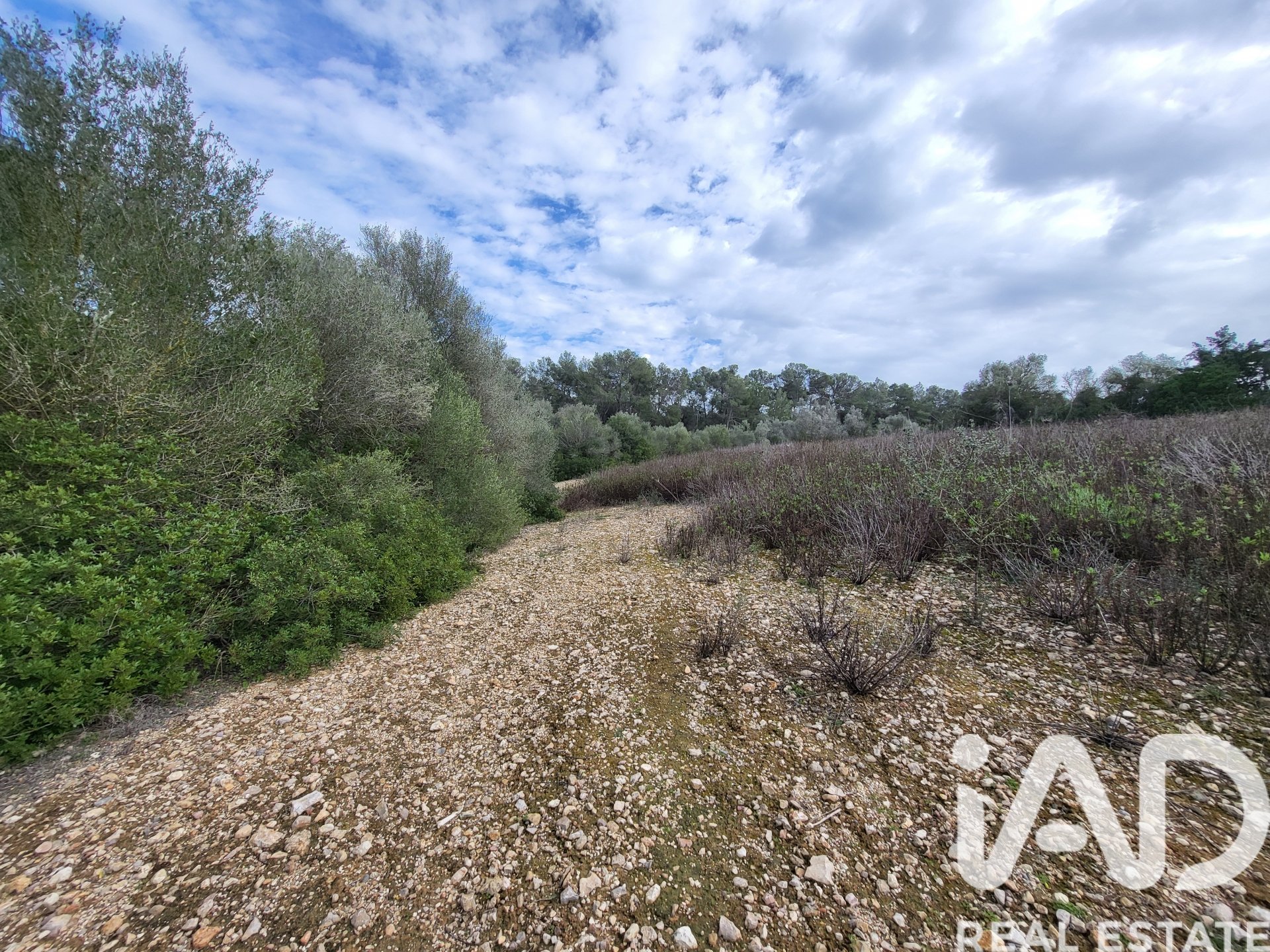 Parcela en Sant Joan, Mallorca, España 11259 m2 No. 185233