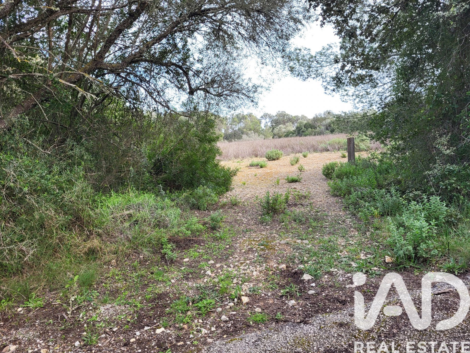 Parcela en Sant Joan, Mallorca, España 11259 m2 No. 185233