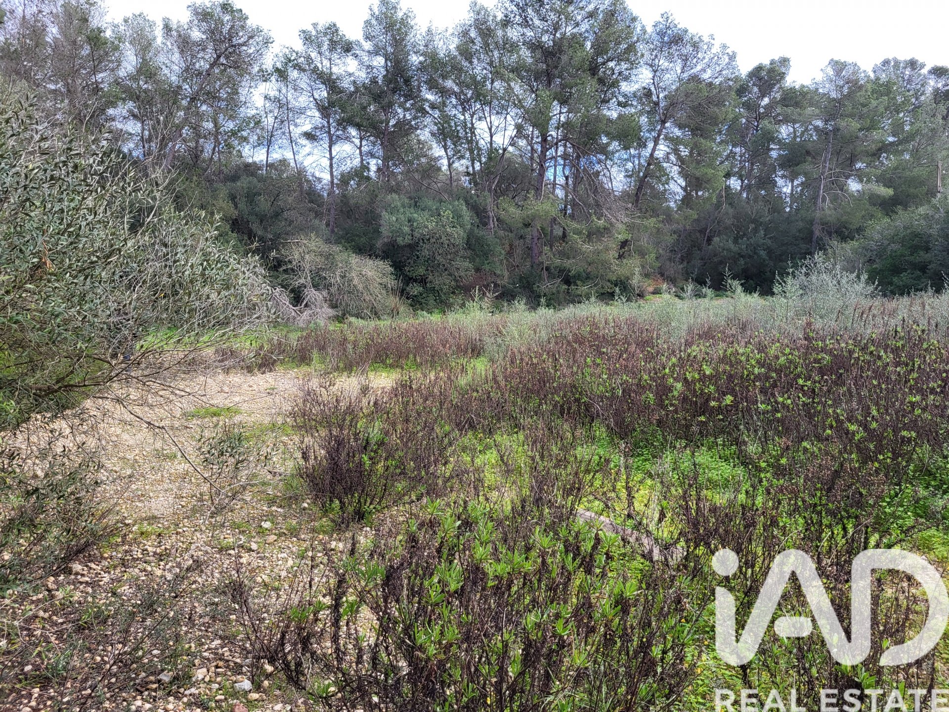 Parcela en Sant Joan, Mallorca, España 11259 m2 No. 185233