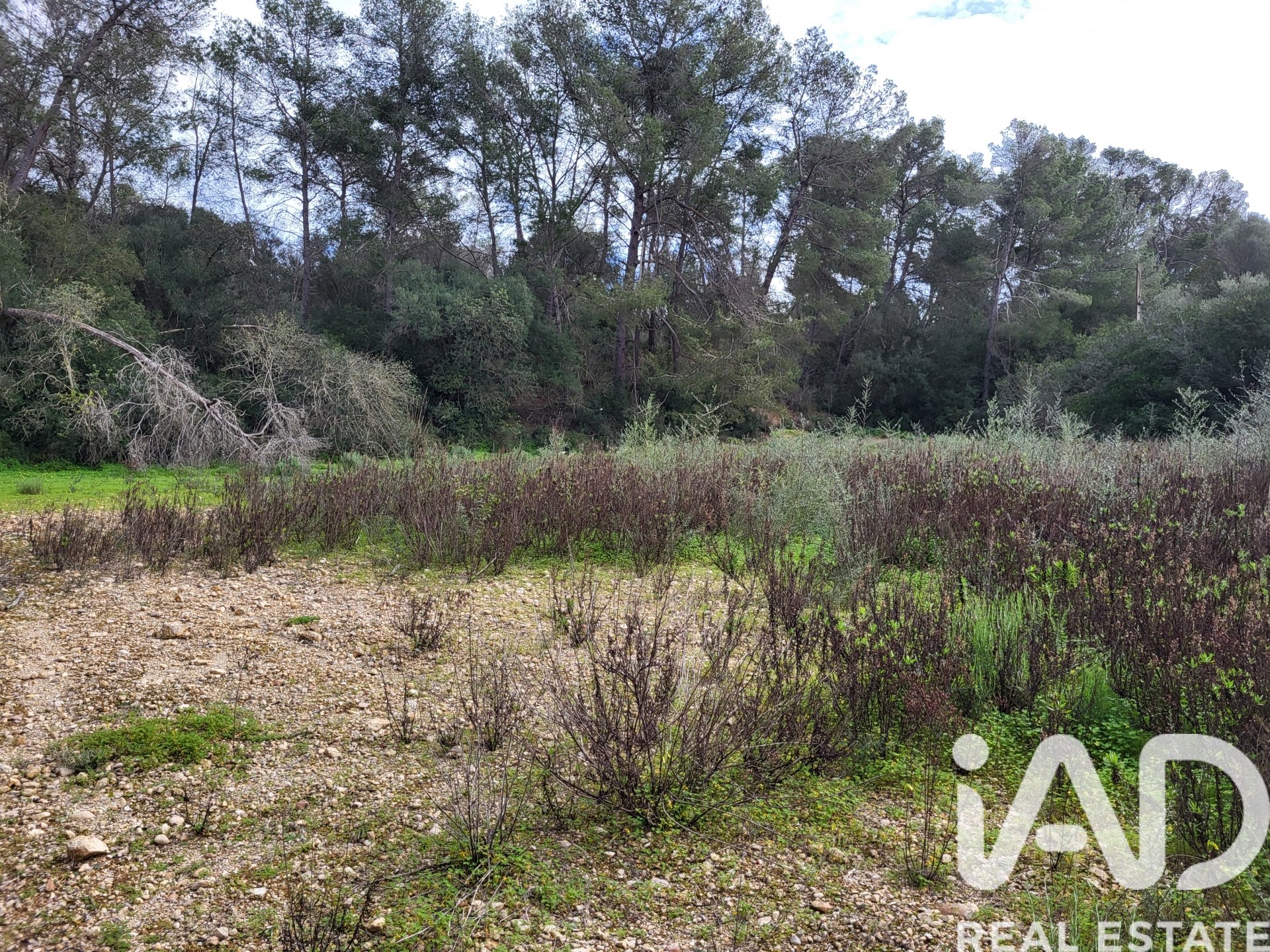 Parcela en Sant Joan, Mallorca, España 11259 m2 No. 185233