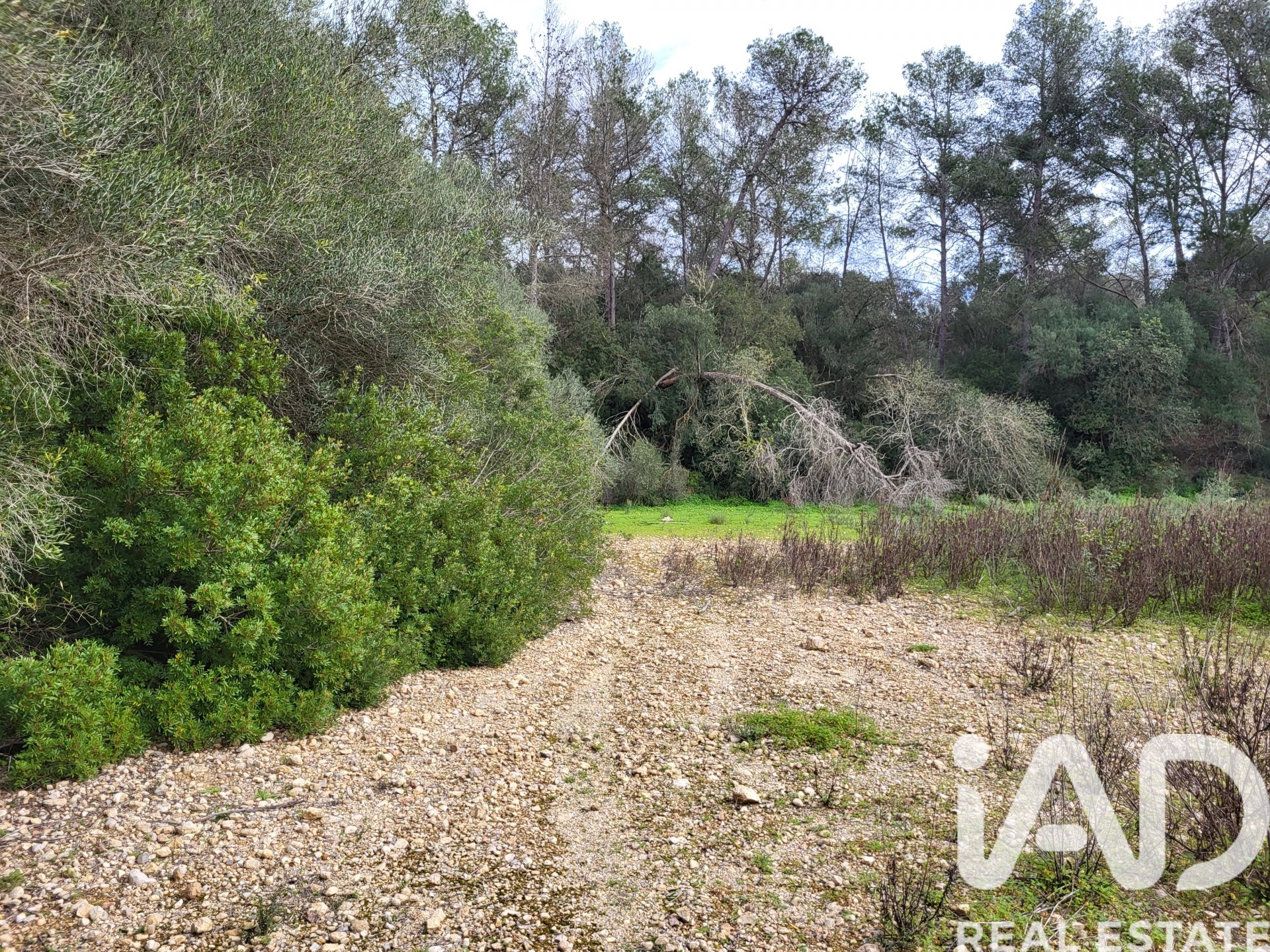 Parcela en Sant Joan, Mallorca, España 11259 m2 No. 185233