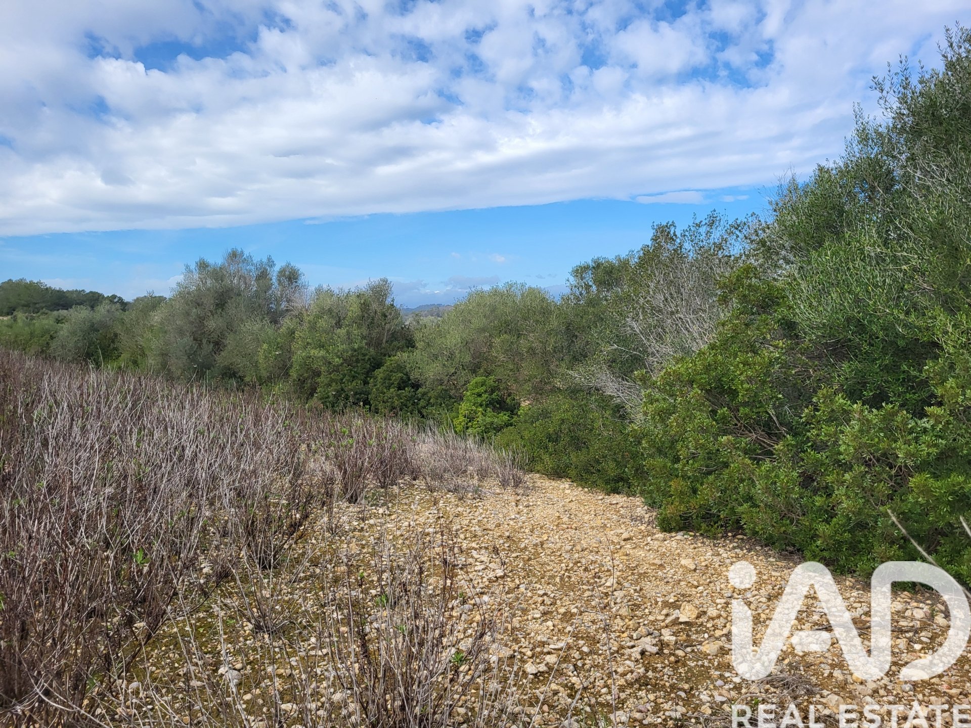Parcela en Sant Joan, Mallorca, España 11259 m2 No. 185233