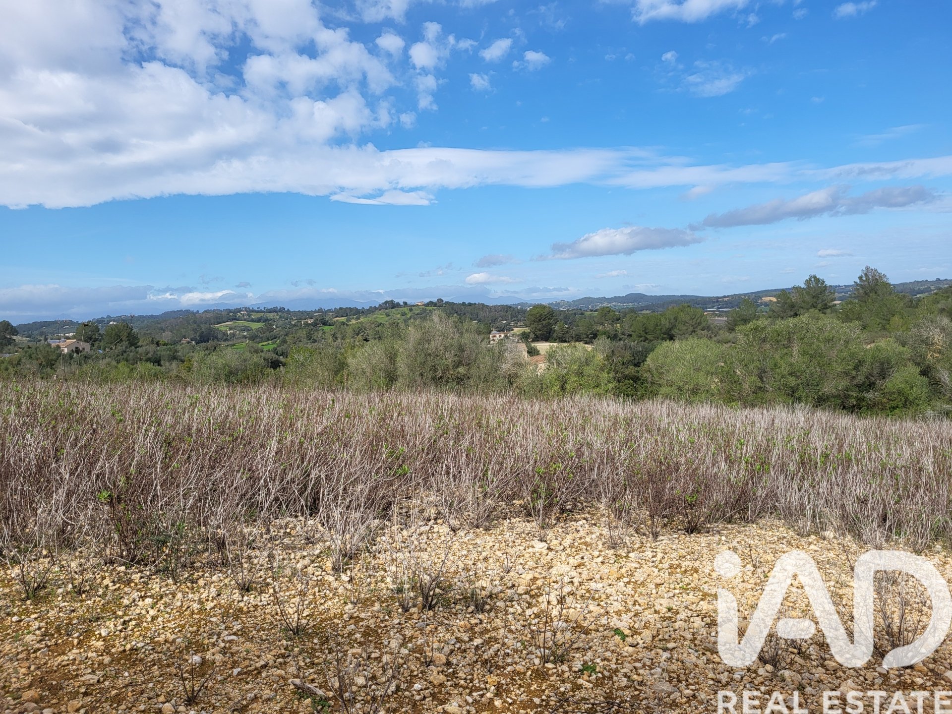 Parcela en Sant Joan, Mallorca, España 11259 m2 No. 185233