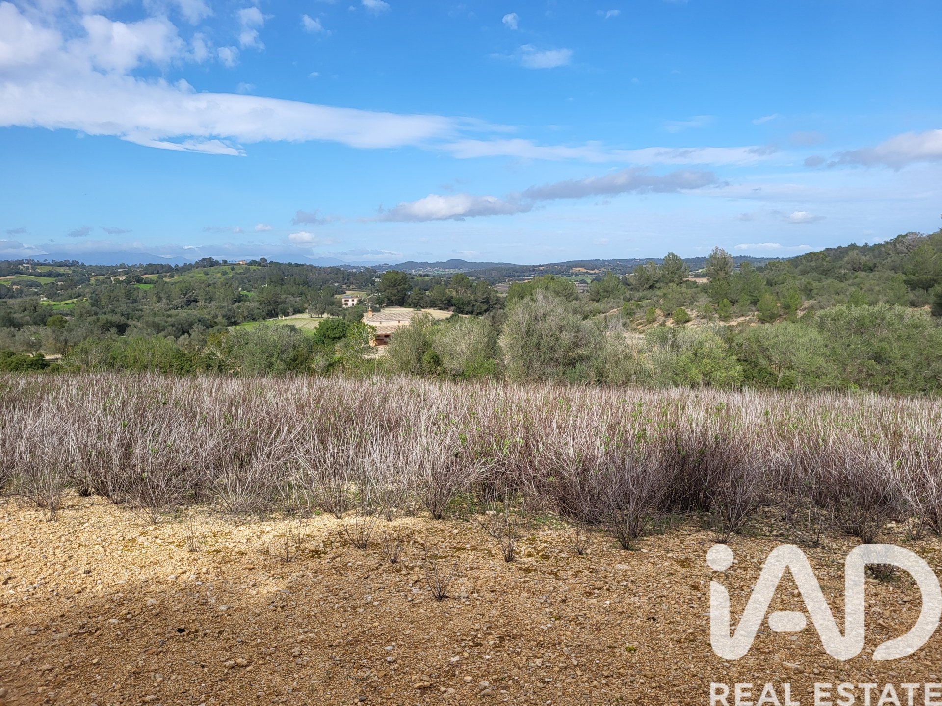 Parcela en Sant Joan, Mallorca, España 11259 m2 No. 185233