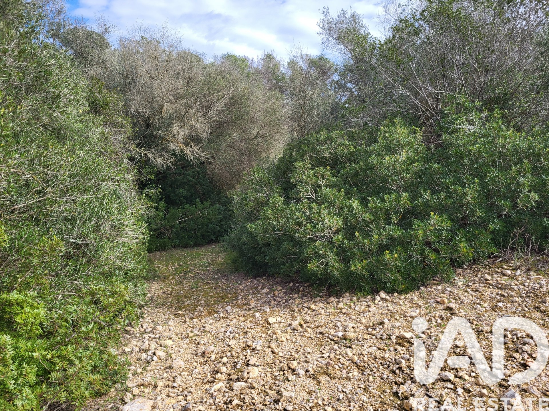 Parcela en Sant Joan, Mallorca, España 11259 m2 No. 185233