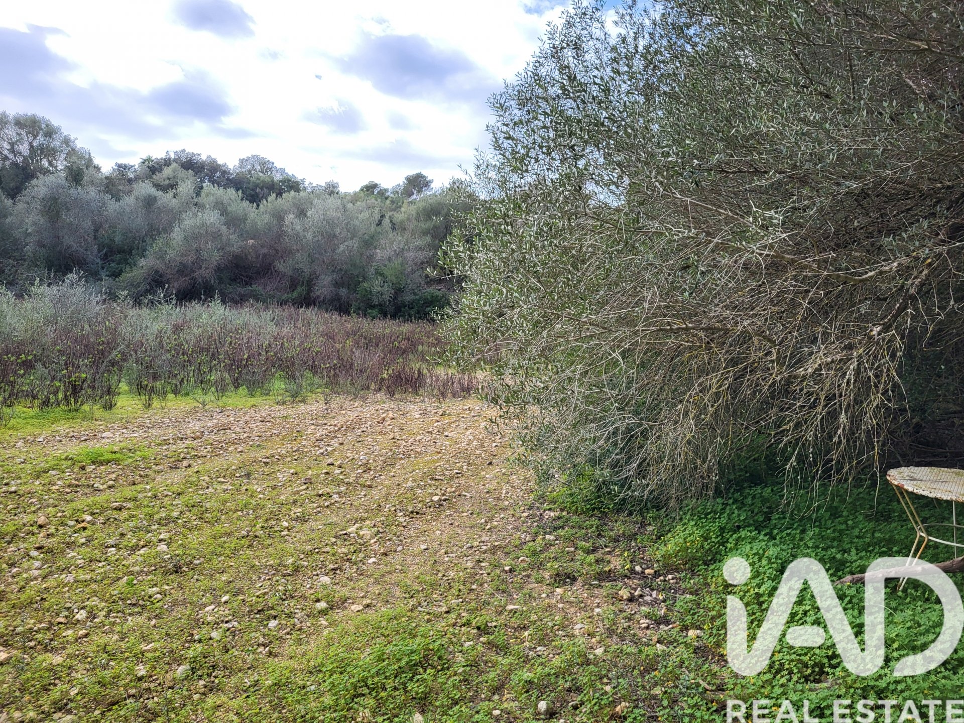 Parcela en Sant Joan, Mallorca, España 11259 m2 No. 185233