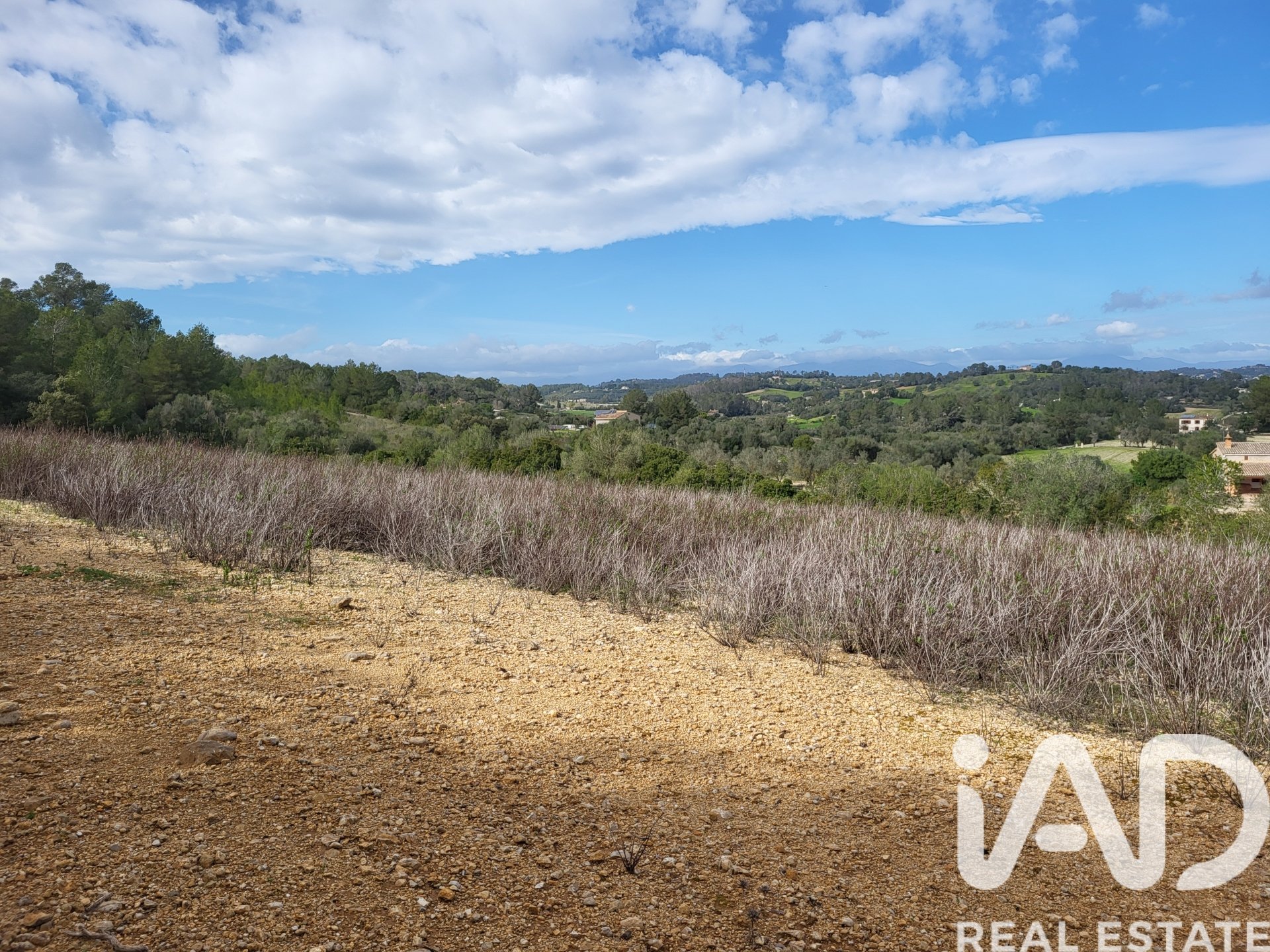 Parcela en Sant Joan, Mallorca, España 11259 m2 No. 185233