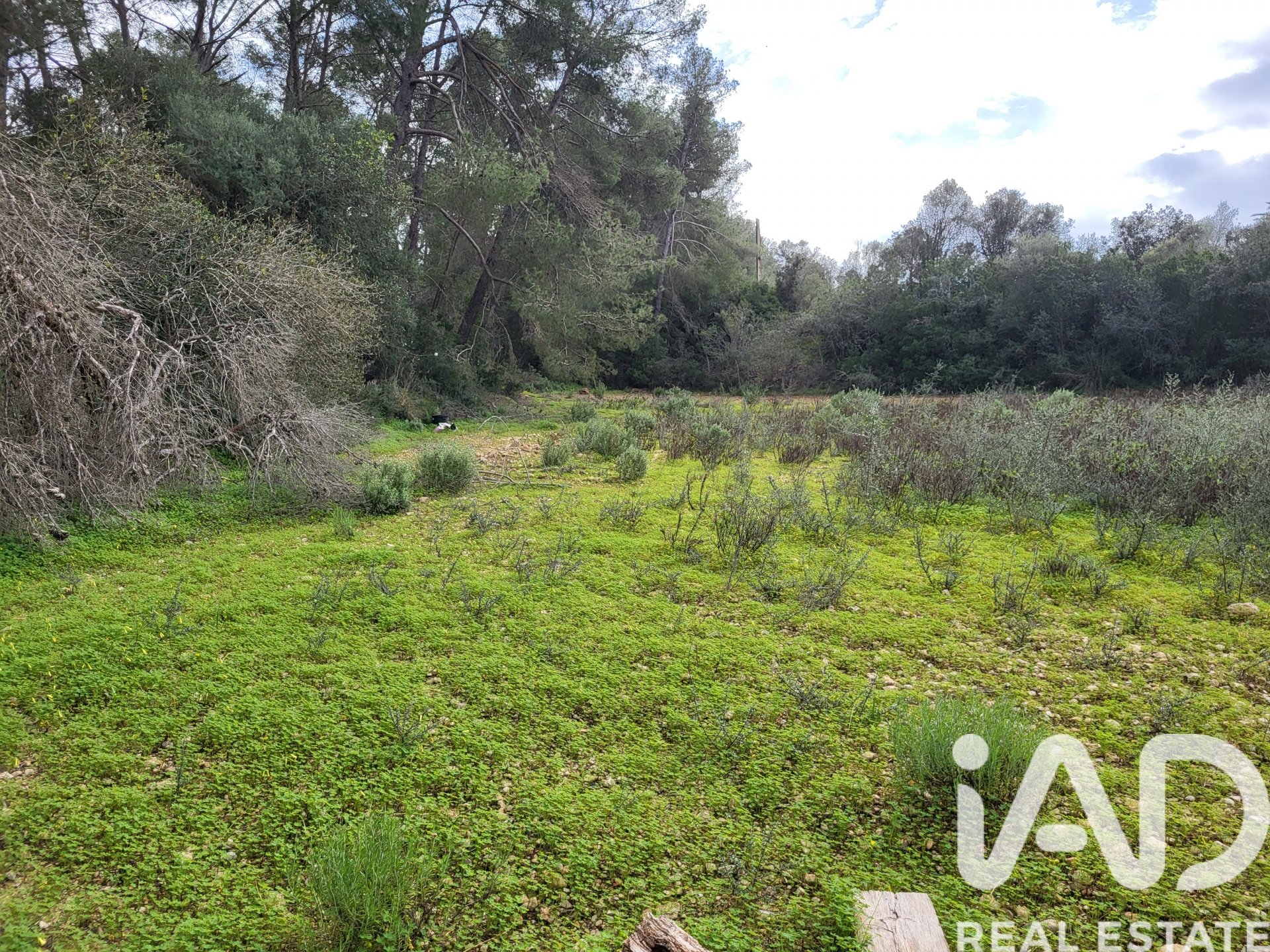 Parcela en Sant Joan, Mallorca, España 11259 m2 No. 185233