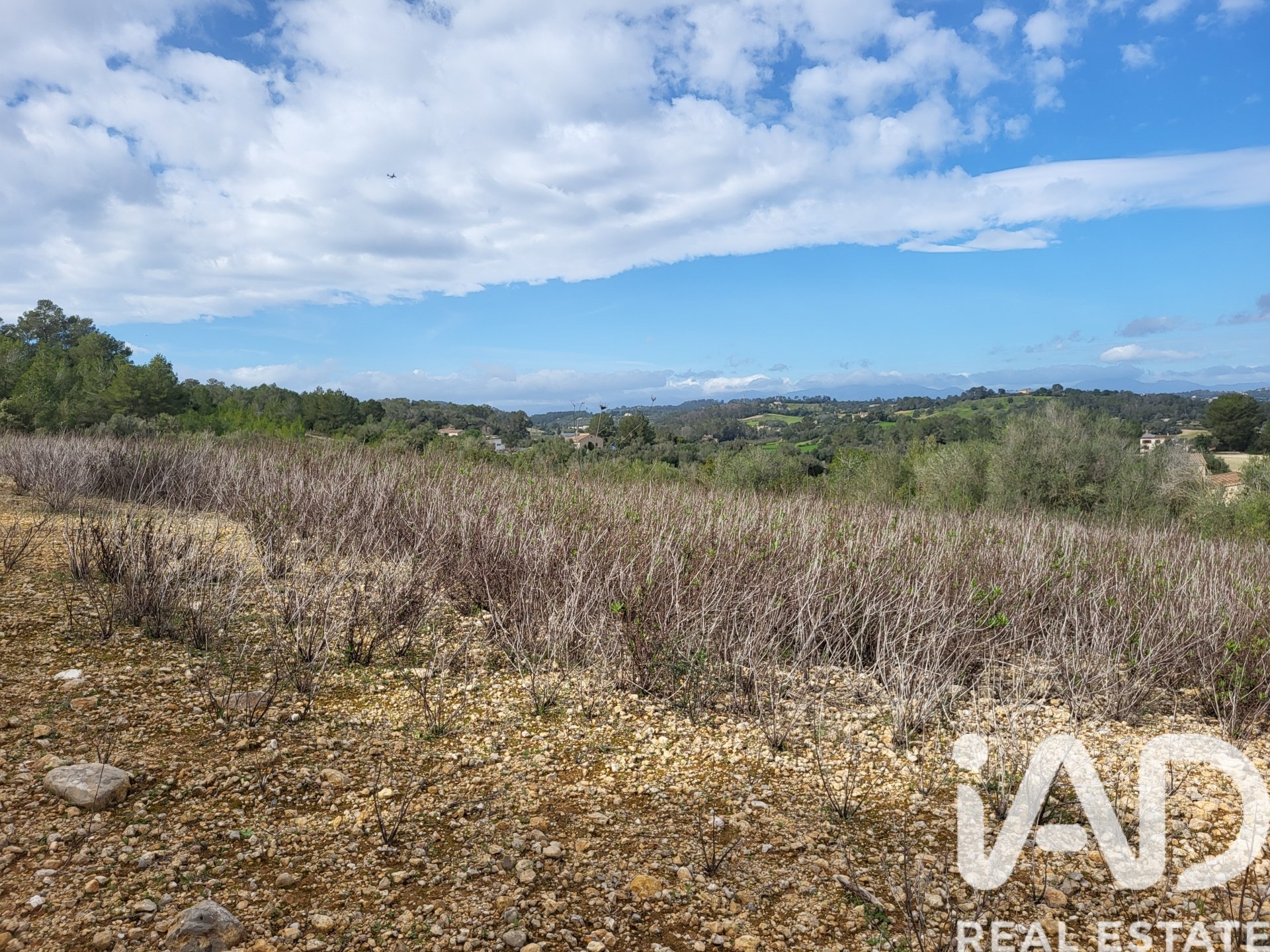 Parcela en Sant Joan, Mallorca, España 11259 m2 No. 185233